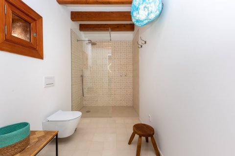 Finca for sale Colonia De Sant Pere, Mallorca, Spain 7 bedrooms, 700 sq.m. No. 111859 - photo 19
