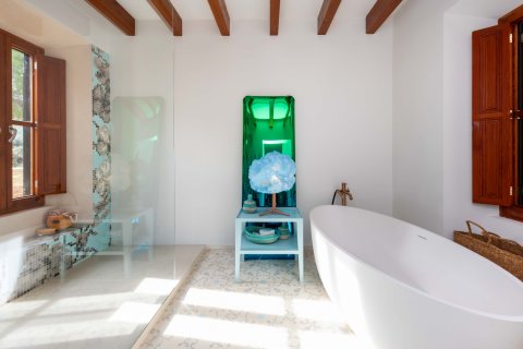 Finca for sale Colonia De Sant Pere, Mallorca, Spain 7 bedrooms, 700 sq.m. No. 111859 - photo 21