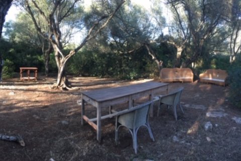 Land plot for sale Felanitx, Mallorca, Spain 1 bedroom, 61150 sq.m. No. 111892 - photo 6