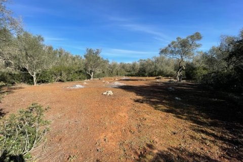 Land plot for sale Felanitx, Mallorca, Spain 1 bedroom, 61150 sq.m. No. 111892 - photo 2
