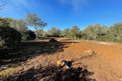 Land plot for sale Felanitx, Mallorca, Spain 1 bedroom, 61150 sq.m. No. 111892 - photo 3