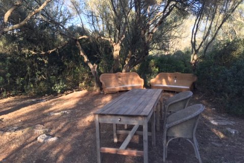 Land plot for sale Felanitx, Mallorca, Spain 1 bedroom, 61150 sq.m. No. 111892 - photo 5