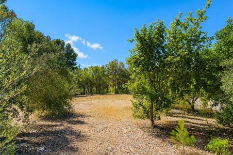 Tontti myytävänä Santa Ponsa, Mallorca, Espanja, 4 makuuhuonetta, 400 m2 No. 196214 - kuva 13