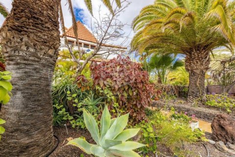 Commercial property for sale in Arona, Tenerife, Spain 27 bedrooms, 1656 sq.m. No. 146724 - photo 9