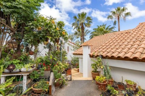 Commercial property for sale in Arona, Tenerife, Spain 27 bedrooms, 1656 sq.m. No. 146724 - photo 20