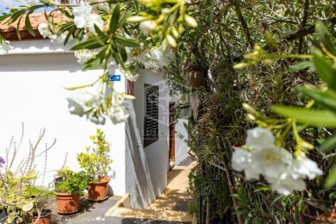 Commercial property for sale in Arona, Tenerife, Spain 27 bedrooms, 1656 sq.m. No. 146724 - photo 21