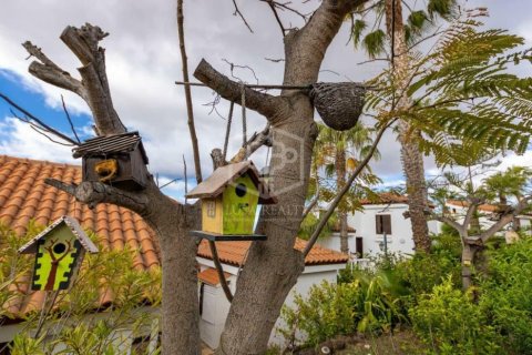 Commercial property for sale in Arona, Tenerife, Spain 27 bedrooms, 1656 sq.m. No. 146724 - photo 13