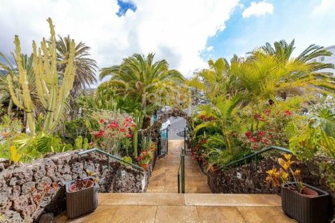 Commercial property for sale in Arona, Tenerife, Spain 27 bedrooms, 1656 sq.m. No. 146724 - photo 6