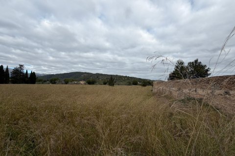 Terreno in vendita a Campanet, Mallorca, Spagna 19688 mq. N° 147485 - foto 8