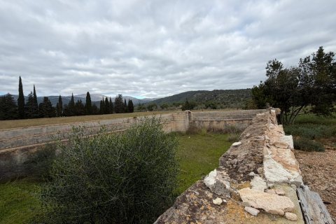 Terreno in vendita a Campanet, Mallorca, Spagna 19688 mq. N° 147485 - foto 6