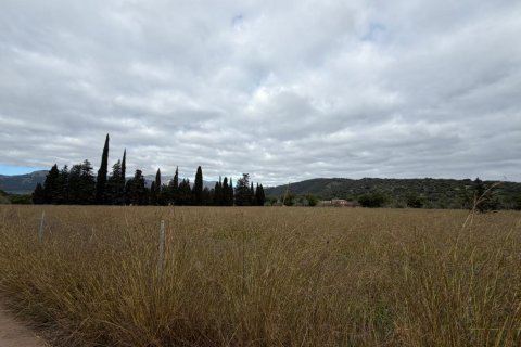 Terreno in vendita a Campanet, Mallorca, Spagna 19688 mq. N° 147485 - foto 7