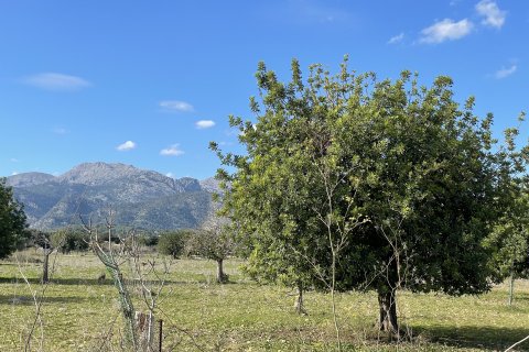 Terreno in vendita a Moscari, Mallorca, Spagna 4 camere da letto, 17200 mq. N° 147486 - foto 3