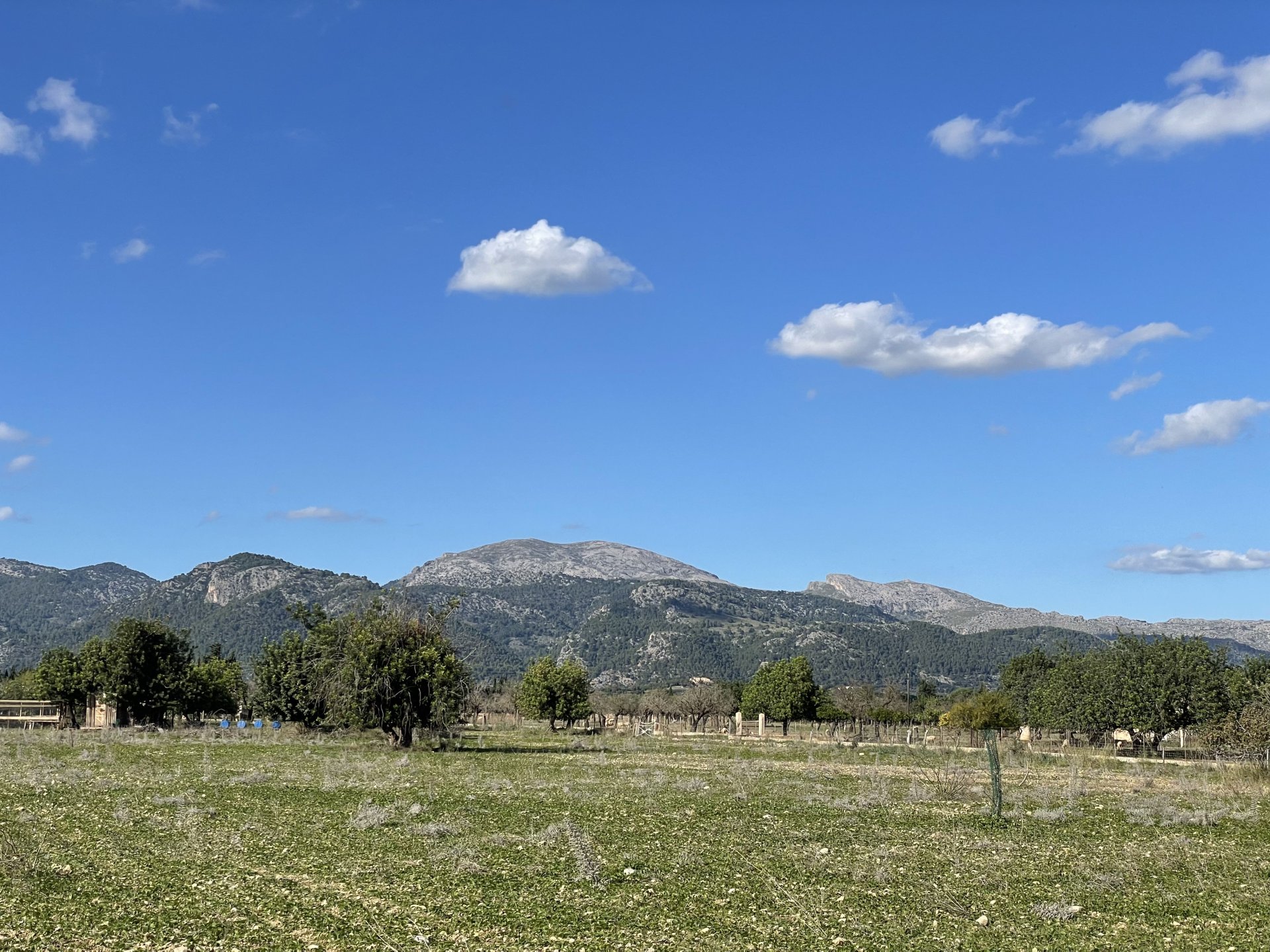 Land plot à Moscari, Mallorca, Espagne 4 chambres, 17200 m2 No. 147486