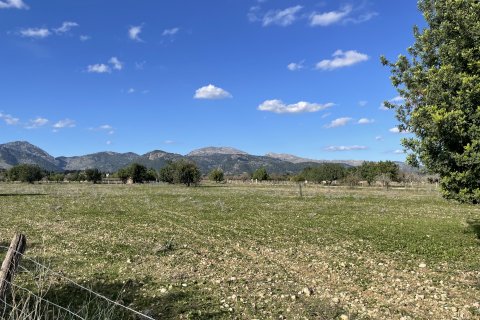 Tontti Moscari, Mallorca, Espanja 4 makuuhuonetta, 17200 m2 No. 147486