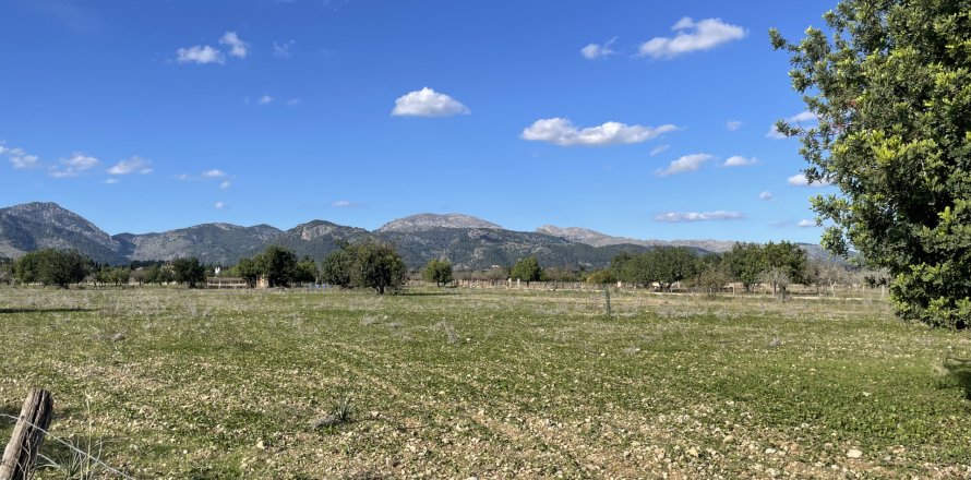 Terreno a Moscari, Mallorca, Spagna 4 camere da letto, 17200 mq. N° 147486