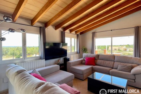 Finca for sale in Campos, Mallorca, Spain 3 bedrooms, 212 sq.m. No. 167954 - photo 13