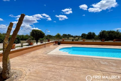Finca for sale in Campos, Mallorca, Spain 3 bedrooms, 212 sq.m. No. 167954 - photo 17