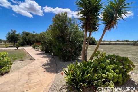 Finca for sale in Campos, Mallorca, Spain 3 bedrooms, 212 sq.m. No. 167954 - photo 16