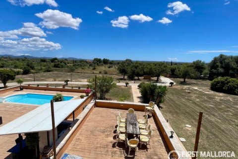 Finca for sale in Campos, Mallorca, Spain 3 bedrooms, 212 sq.m. No. 167954 - photo 22
