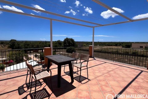Finca for sale in Campos, Mallorca, Spain 3 bedrooms, 212 sq.m. No. 167954 - photo 6