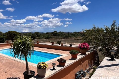 Finca for sale in Campos, Mallorca, Spain 3 bedrooms, 212 sq.m. No. 167954 - photo 7