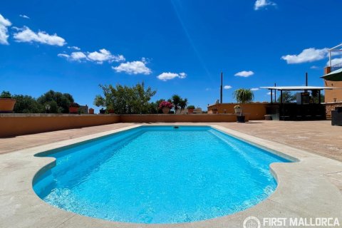 Finca for sale in Campos, Mallorca, Spain 3 bedrooms, 212 sq.m. No. 167954 - photo 3