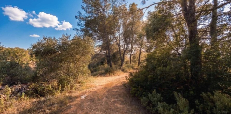 Działka w Algaida, Mallorca, Hiszpania 25600 mkw. nr 167952
