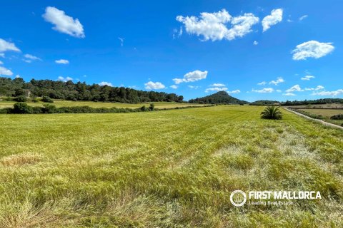 Finca in affitto a Sineu, Mallorca, Spagna 4 camere da letto, 318 mq. N° 167956 - foto 3