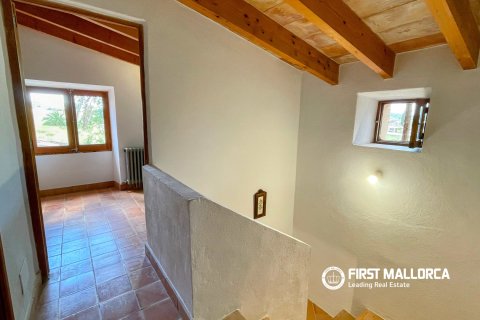 Finca in affitto a Sineu, Mallorca, Spagna 4 camere da letto, 318 mq. N° 167956 - foto 15