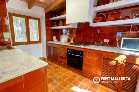 Finca in affitto a Sineu, Mallorca, Spagna 4 camere da letto, 318 mq. N° 167956 - foto 7