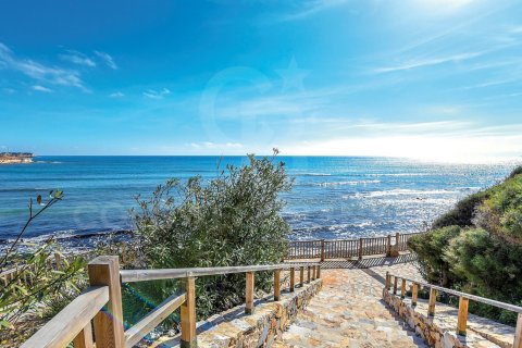 Apartment à vendre à Torrevieja, Alicante, Espagne, 2 chambres,  No. 159869 - photo 14