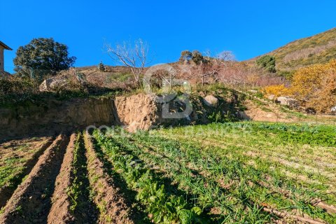 Сasa en venta en Agullana, Gerona, España 12 dormitorios, 1584 m2 No. 159868 - foto 7