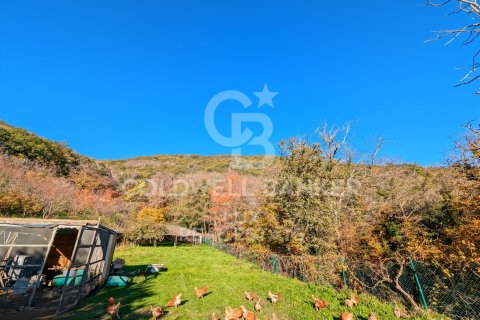 Сasa en venta en Agullana, Gerona, España 12 dormitorios, 1584 m2 No. 159868 - foto 8