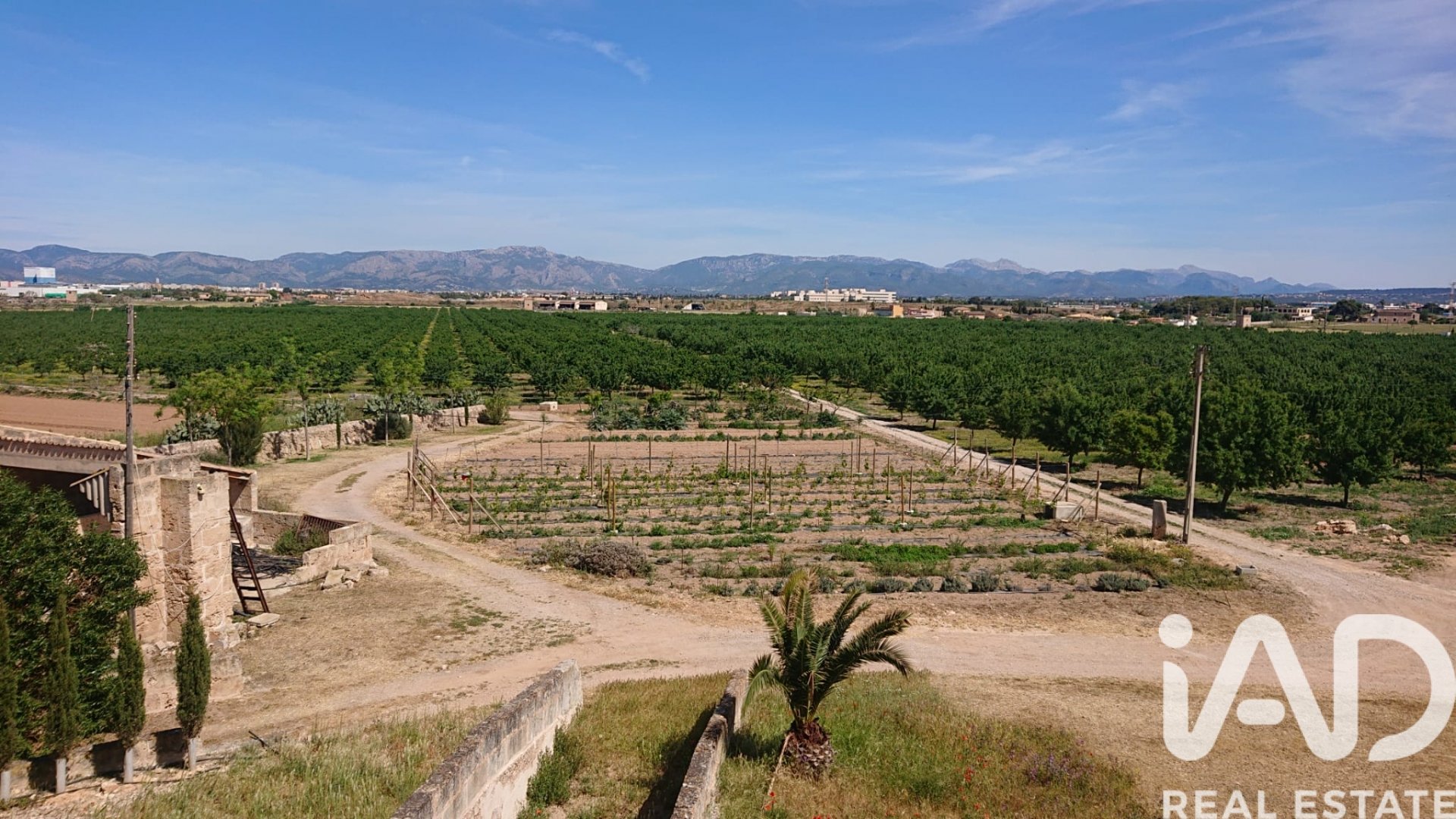 Talo Palma de Majorca, Mallorca, Espanja 5300 m2 No. 195142
