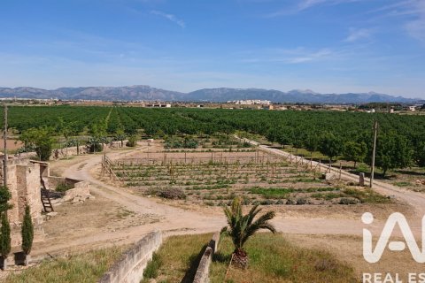 House à vendre à Palma de Majorca, Mallorca, Espagne, 5300 m2 No. 195142 - photo 9