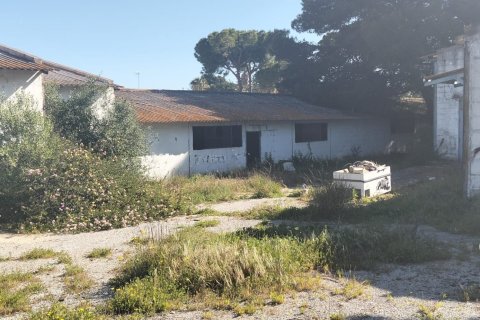 Działka w Chiclana de la Frontera, Cadiz, Hiszpania 9000 mkw. nr 172608 – zdjęcie 26