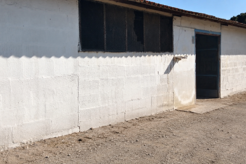 Działka w Chiclana de la Frontera, Cadiz, Hiszpania 9000 mkw. nr 172608 – zdjęcie 20