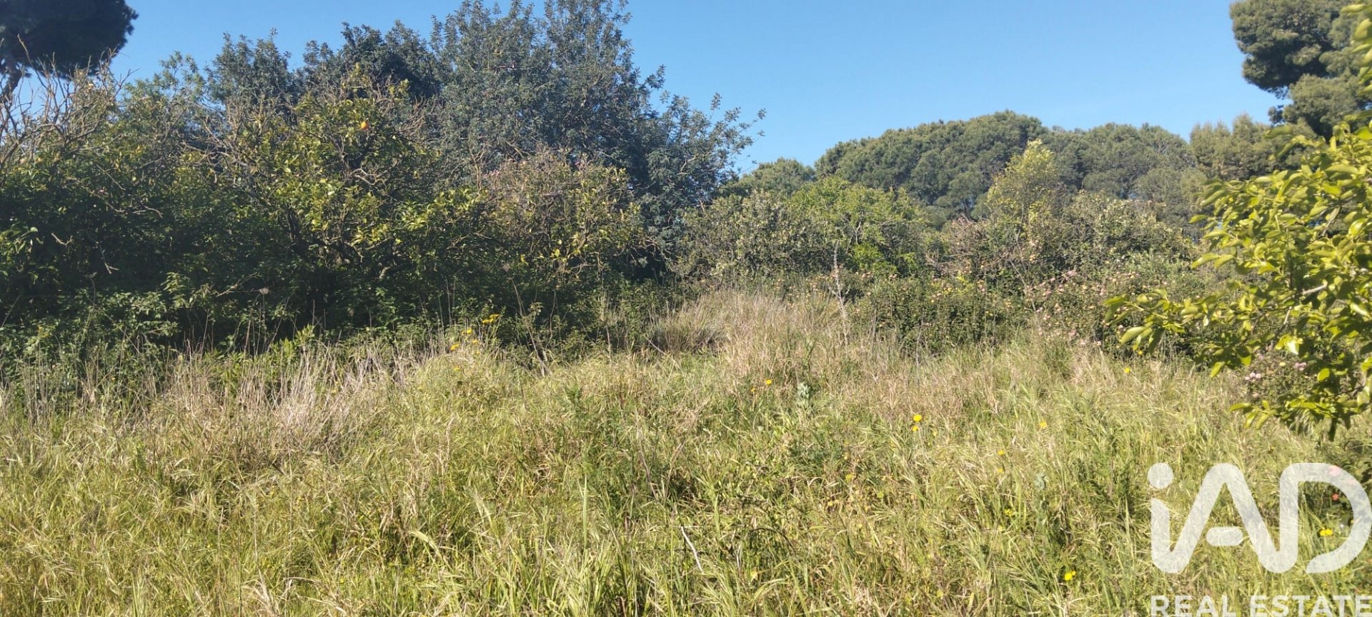 Parcela en Chiclana de la Frontera, Cádiz, España 9000 m2 No. 172608