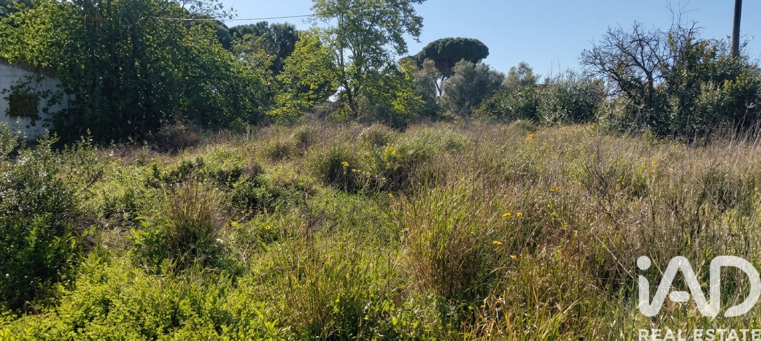 Parcela en Chiclana de la Frontera, Cádiz, España 9000 m2 No. 172608