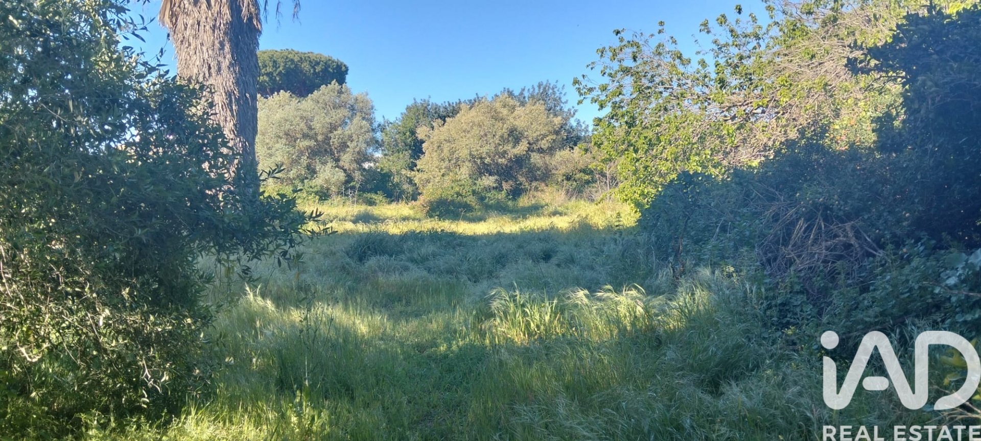 Parcela en Chiclana de la Frontera, Cádiz, España 9000 m2 No. 172608