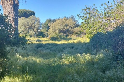 Działka w Chiclana de la Frontera, Cadiz, Hiszpania 9000 mkw. nr 172608 – zdjęcie 7
