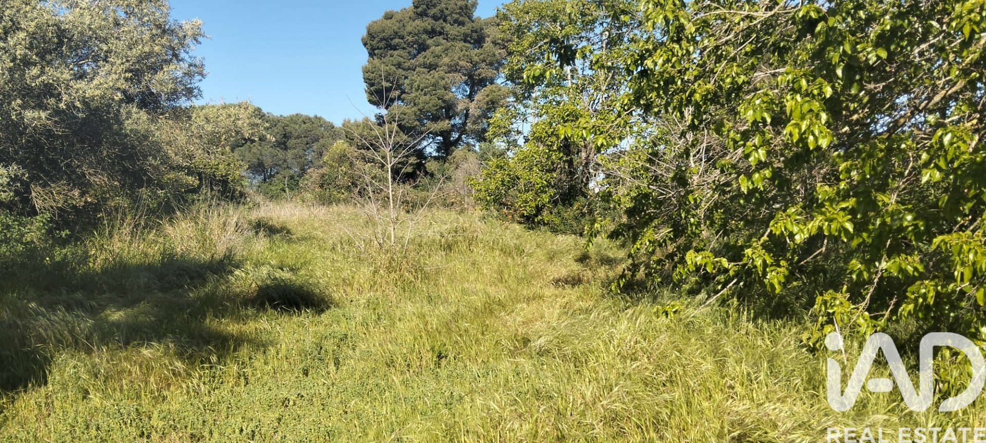 Parcela en Chiclana de la Frontera, Cádiz, España 9000 m2 No. 172608