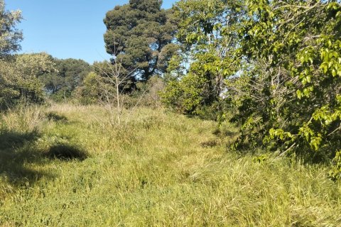 Działka w Chiclana de la Frontera, Cadiz, Hiszpania 9000 mkw. nr 172608 – zdjęcie 11
