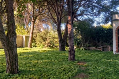 Działka w Chiclana de la Frontera, Cadiz, Hiszpania 9000 mkw. nr 172608 – zdjęcie 9