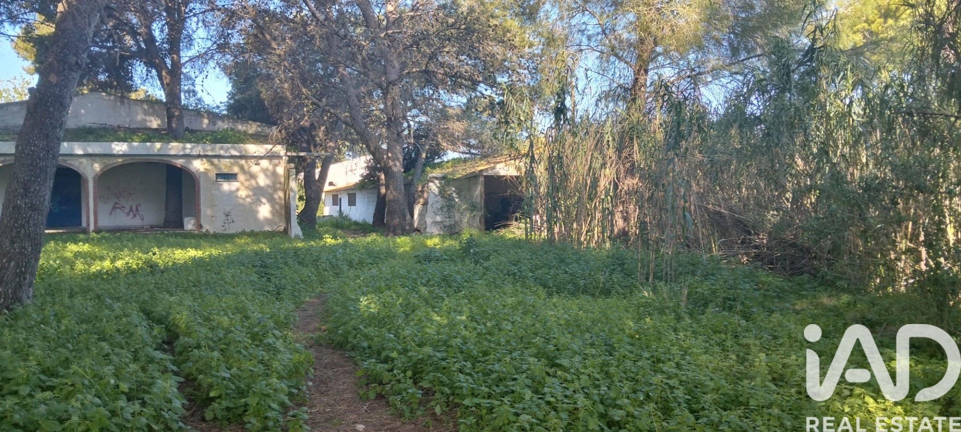 Parcela en Chiclana de la Frontera, Cádiz, España 9000 m2 No. 172608