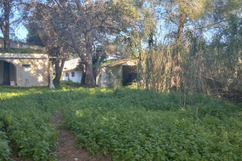 Działka w Chiclana de la Frontera, Cadiz, Hiszpania 9000 mkw. nr 172608 – zdjęcie 2