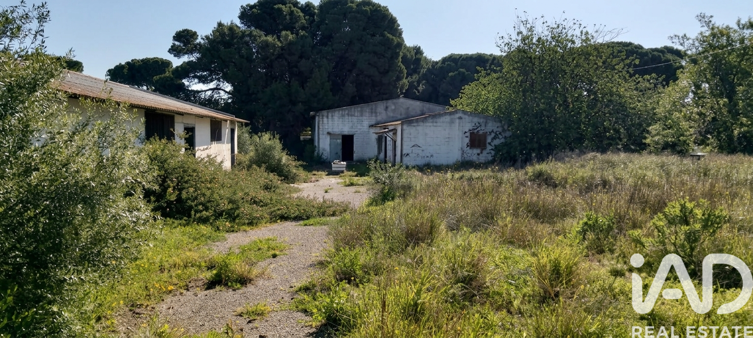 Parcela en Chiclana de la Frontera, Cádiz, España 9000 m2 No. 172608