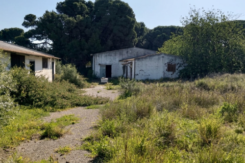 Działka w Chiclana de la Frontera, Cadiz, Hiszpania 9000 mkw. nr 172608 – zdjęcie 24