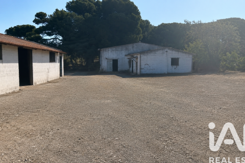 Działka w Chiclana de la Frontera, Cadiz, Hiszpania 9000 mkw. nr 172608 – zdjęcie 23