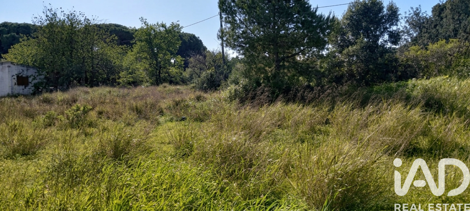 Parcela en Chiclana de la Frontera, Cádiz, España 9000 m2 No. 172608